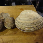 ちゃきちゃき - 鬼あさり（左）、大あさり（右）