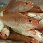 ちゃきちゃき - いとより