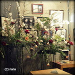 ろぷろぷ - 2014.3末　花見＆アート