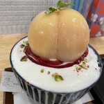 コオリヤ ユキボウシ - 