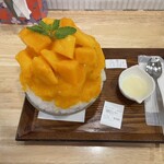 コオリヤ ユキボウシ - 