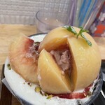 コオリヤ ユキボウシ - 