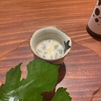 弧柳 - 