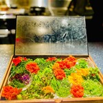 アルギュロス - 