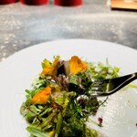 アルギュロス - 