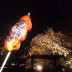 Rikugien Sakura Chaya - 優雅に夜桜を見ながら「さくら茶屋」さんの名物炭焼だんご