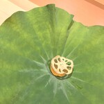 銀座 しのはら - 大きな葉の上にスッポンの煮凝りと蓮根