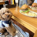 ムースヒルズバーガー - 