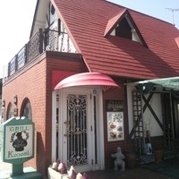 グリル 木の実 - 