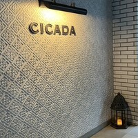 CICADA - 