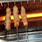 Tsuki no Shima - This is a style where skewers are grilled right in front of you.