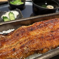 うなぎ四代目菊川 ミッドランドスクエア 名古屋本店 - 