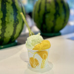 Shibuya Nishimura Dogenzaka Furutsu Ten - Gelato Cup
                      ・Melon Milk Gelato
                      ・Mango Sorbet