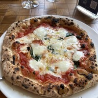 TRATTORIA PIZZERIA 207 渋谷店 - 