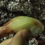 Tsukiji Sushi Iwa - これがホントの桜鯛