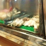 小好鮨 - ネタケース♪