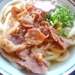 滝音 - 肉うどん(小)