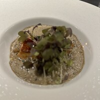 Élan - 