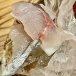 しんのすけ - 造り…おまかせ盛合せ