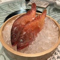 筑紫樓 銀座店 - 