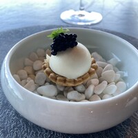 International cuisine subzero - 