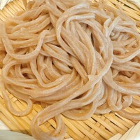 自家製粉石臼挽きうどん 青空blue 本店 - 