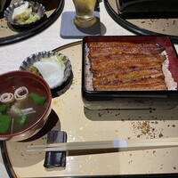 うなぎ 目白ぞろ芽 - 