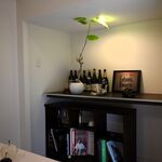 Restaurant KAITO - 懐かしい置物がちらほら