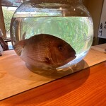 日本料理 別府 廣門 - 