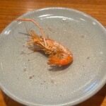 日本料理 別府 廣門 - 大分　七瀬川　手長海老