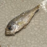 日本料理 別府 廣門 - 豆あじ