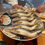 日本料理 別府 廣門 - 大分中津　山国川　鮎