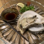 257325688 - 岩牡蠣1500円
