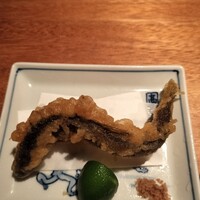 SHIKAKU - 