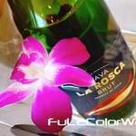 コサムイ バイ チェディルアン - 