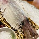 魚屋三代目 鯔背 - イカの活き造り(アップ)