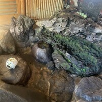 名古屋コーチン・旬菜 一鳳 金山本店 - 
