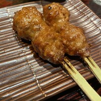 鳥ばか一代 - 