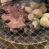 炭火ホルモン焼肉 ひゃくてん 溝の口