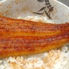 うなぎの異彩