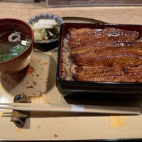 うなぎ 目白ぞろ芽 - 