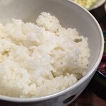 だいだい - ごはん