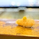 鮨 難波 - 白エビ。 こちらもエビ軍団のスーパースター、白エビ。 大きなブリブリのクルマエビも、２，３０匹集まった白エビにはタジタジです。 今回は昆布じめされててグルタミン酸系の旨味が倍加されてます。