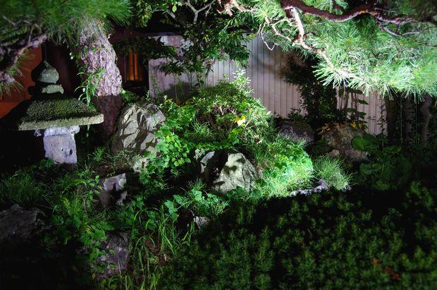 田伝夢思 - 七日町（居酒屋）の写真