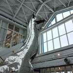 クラフトキッチン - 