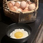 ファイヤーバード - 