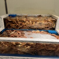 かに道楽 銀座八丁目店 - 