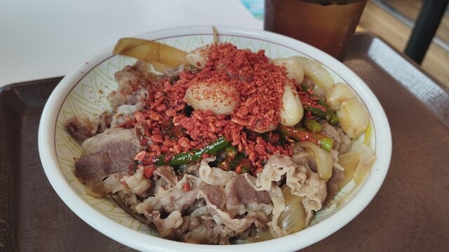 Sukiya Sapporo Mikaho Ten photo 3