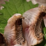 鉄板焼きaja彩 - 