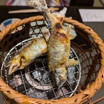 今宵 天空に遊ぶ しょうげつ - 